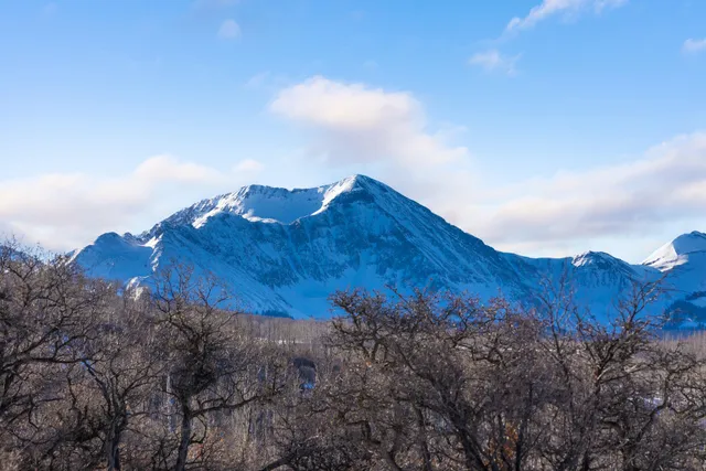 a view of a house and a forest