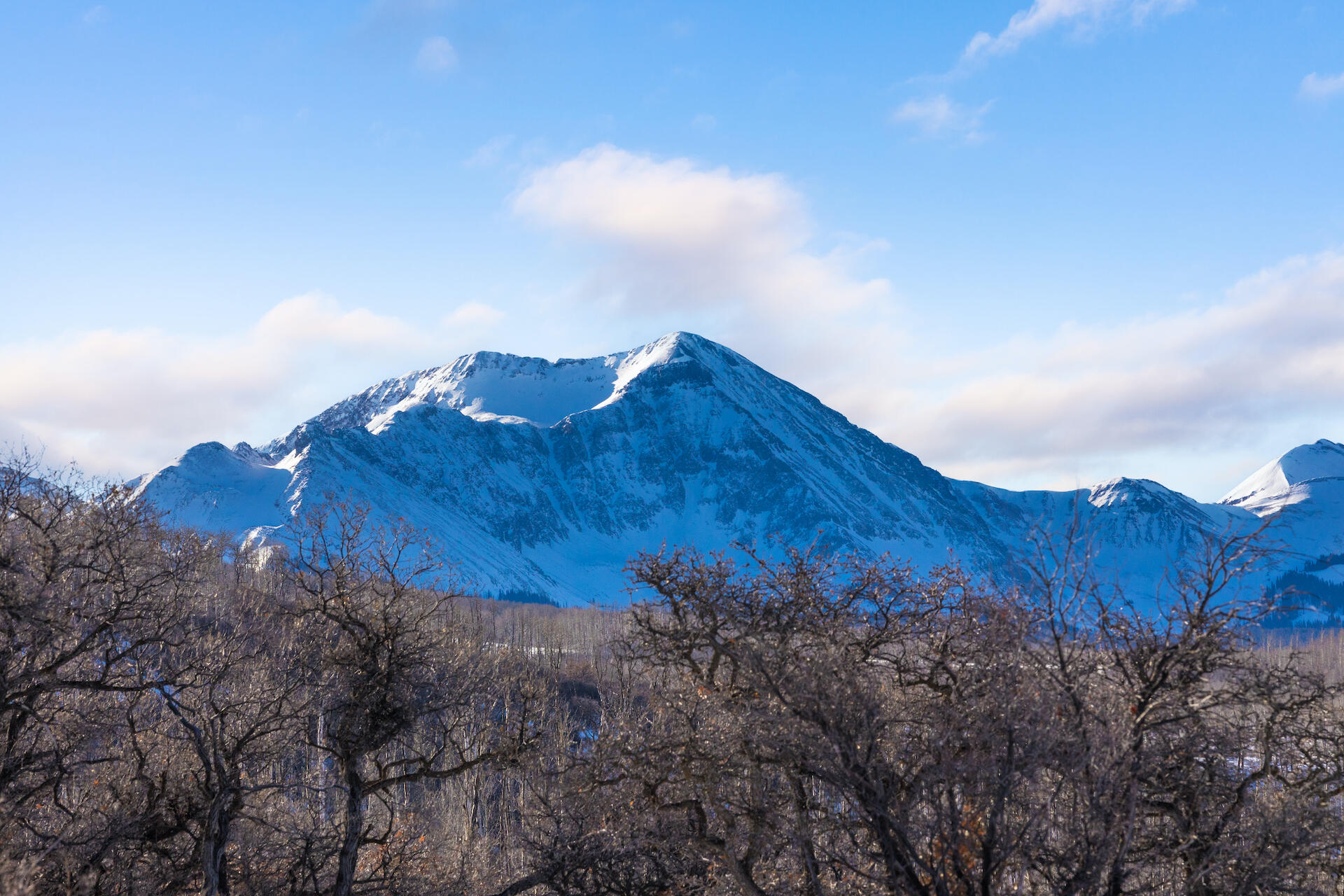 a view of a house and a forest