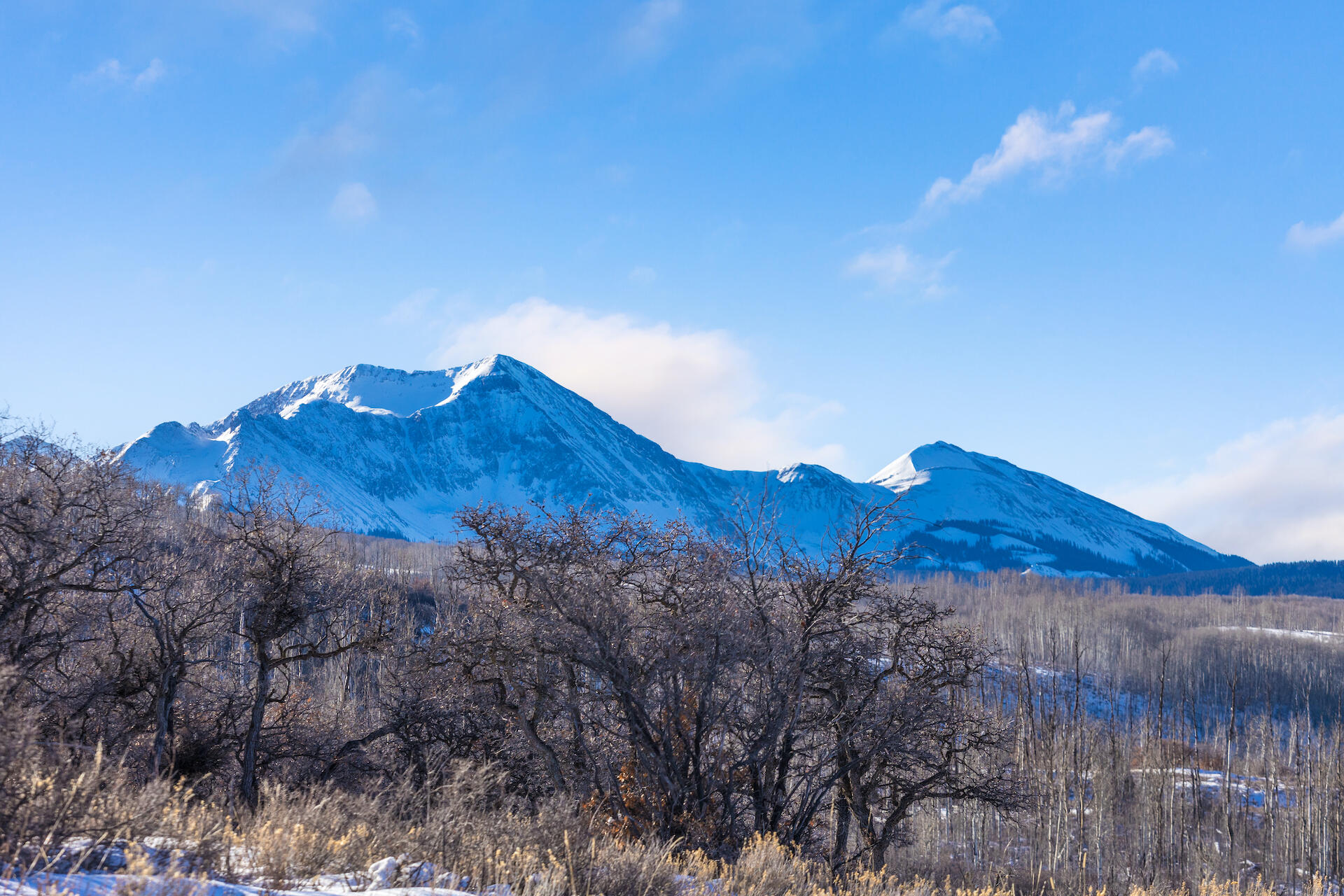 M44 M44 Road Placerville, CO 81430 - Photo 3 of 9 a view of mountain and a yard