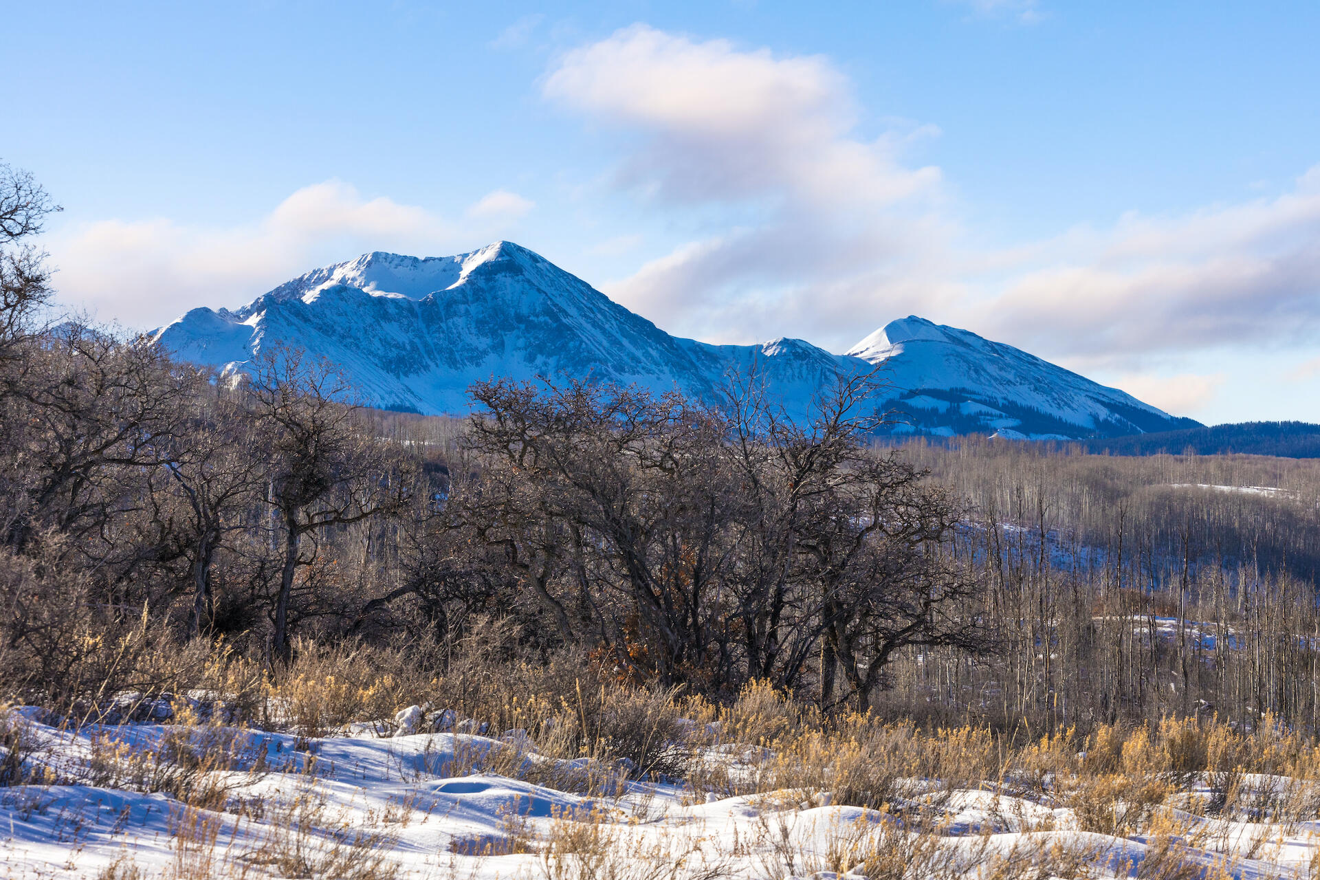 M44 M44 Road Placerville, CO 81430 - Photo 4 of 9 a view of a house with a mountain in the background