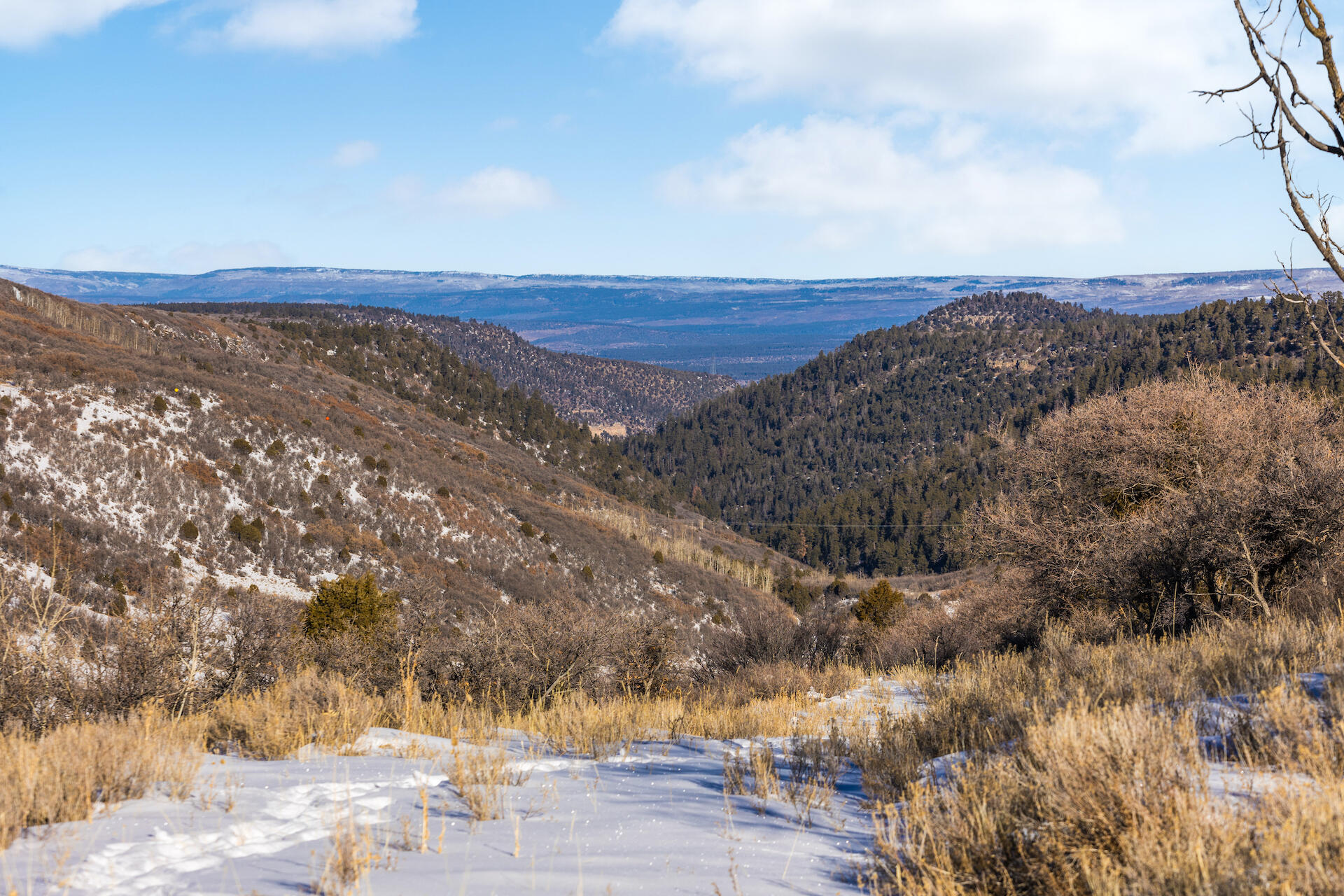 M44 M44 Road Placerville, CO 81430 - Photo 7 of 9 a view of mountain with sunset