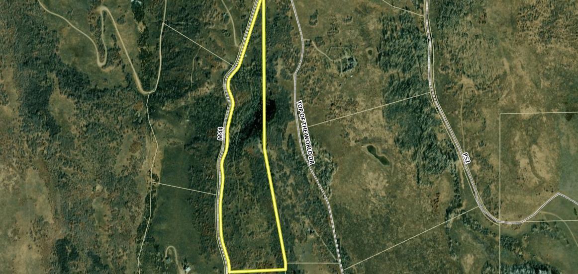 M44 M44 Road Placerville, CO 81430 - Photo 9 of 9 a view of a plant