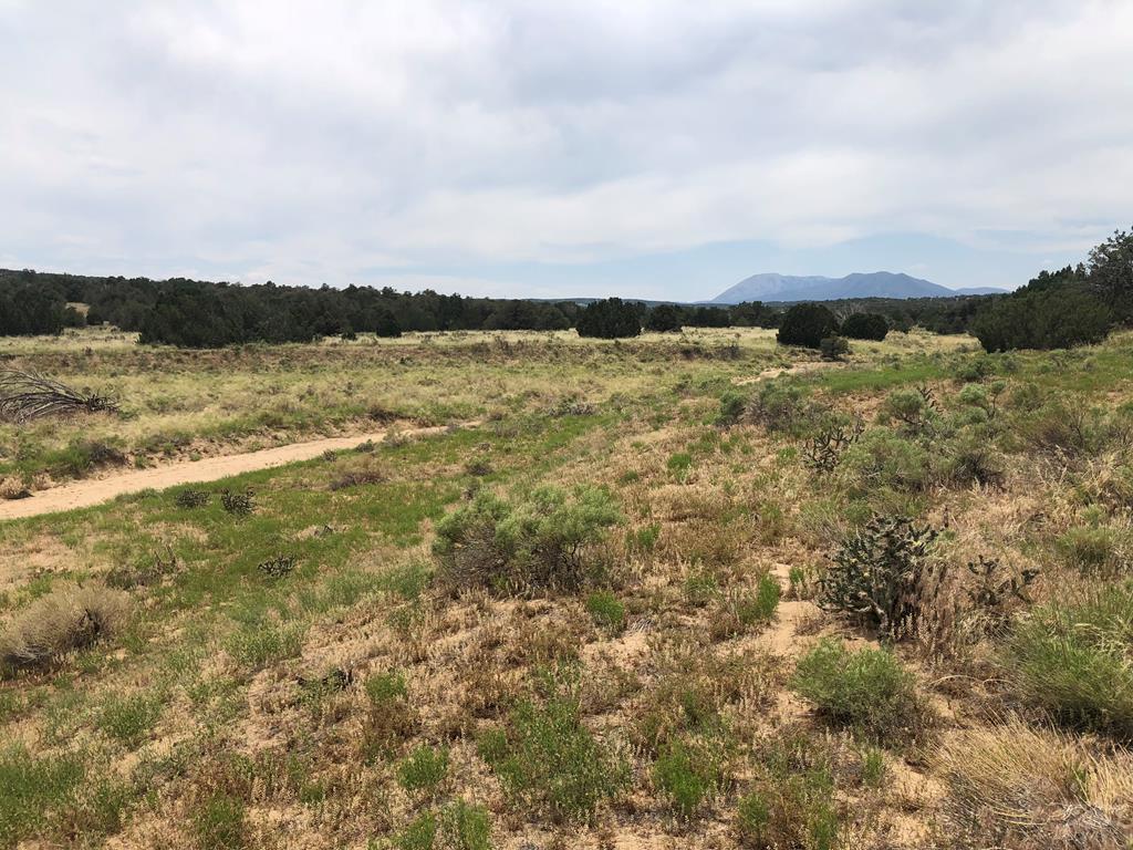 87-119 Twin Lakes Road Walsenburg, CO 81089 - Photo 15 of 21
