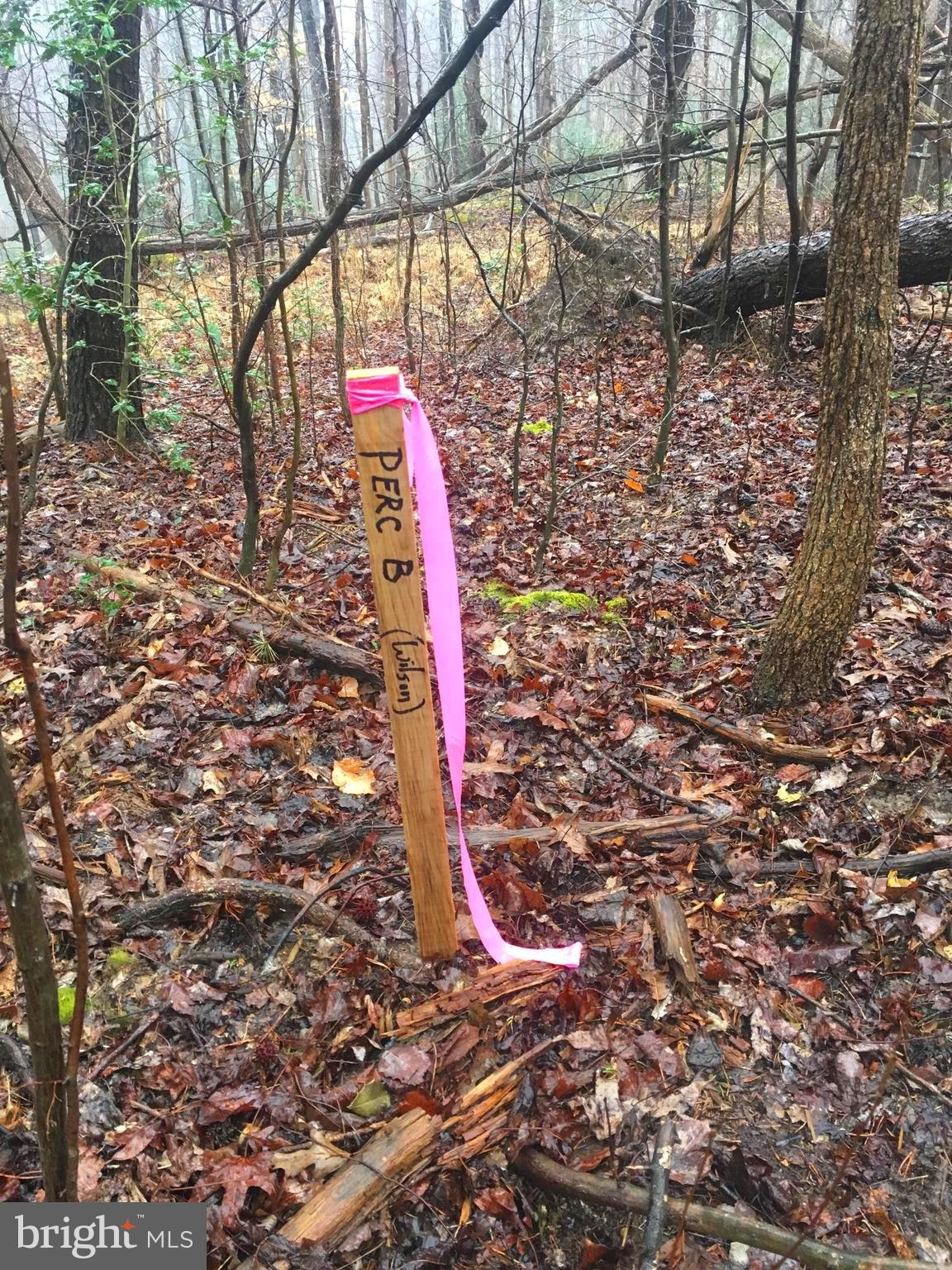 1750 Joe Harris Road Prince Frederick, MD 20678 - Photo 3 of 3 a flag is sitting in the middle of the forest