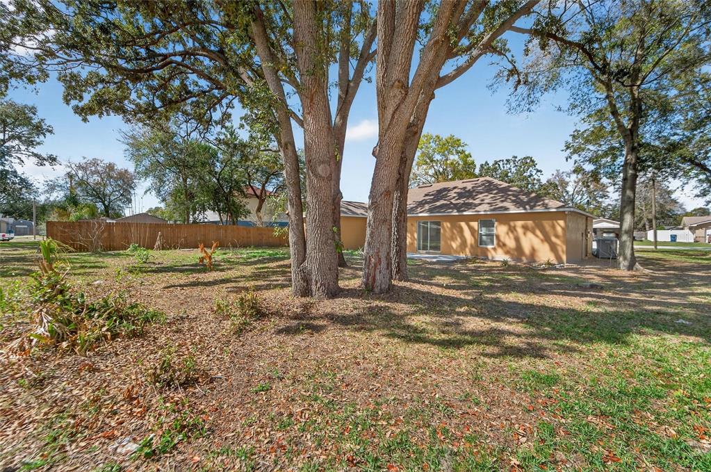 9010 Mc Cormick Street Spring Hill, FL 34608 - Photo 64 of 73 a view of a yard with plants and trees