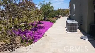 a view of a yard and pathway