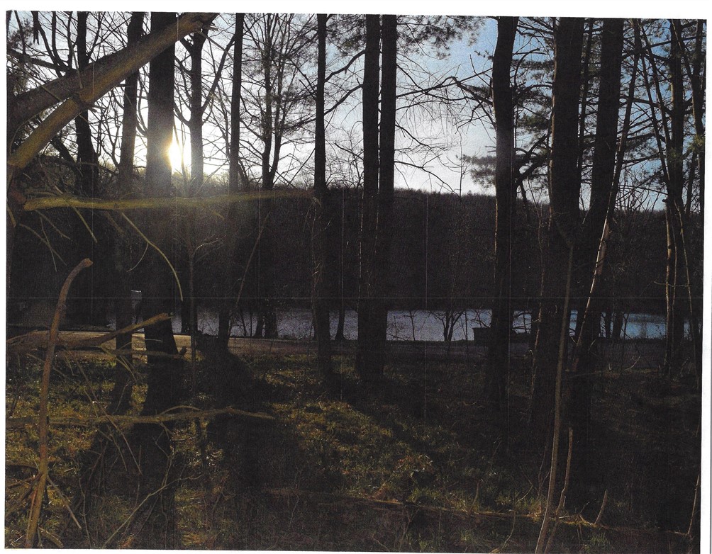 0 Maple Tree Road Stamford, NY 12167 - Photo 1 of 1 Front of lot and lakeview.
