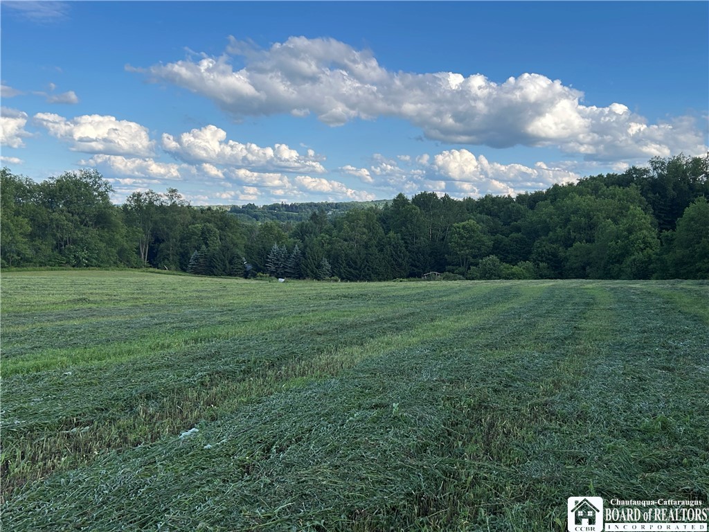 2492 Busti-Stillwater Road Jamestown, NY 14701 - Photo 13 of 33