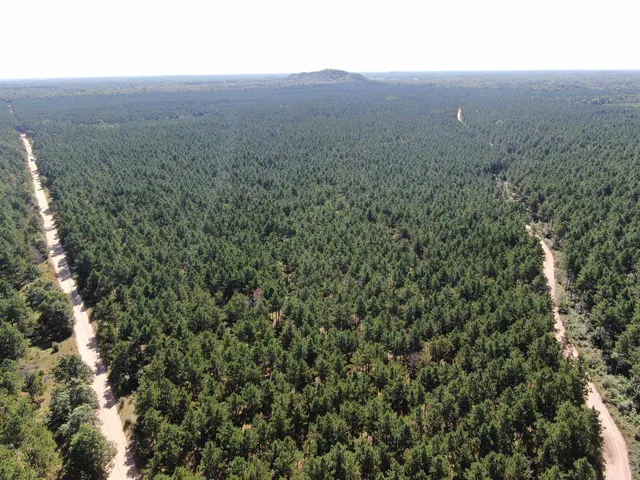 $425,000 | 13 Nekoosa Wi 54457, Nekoosa, WI 54457