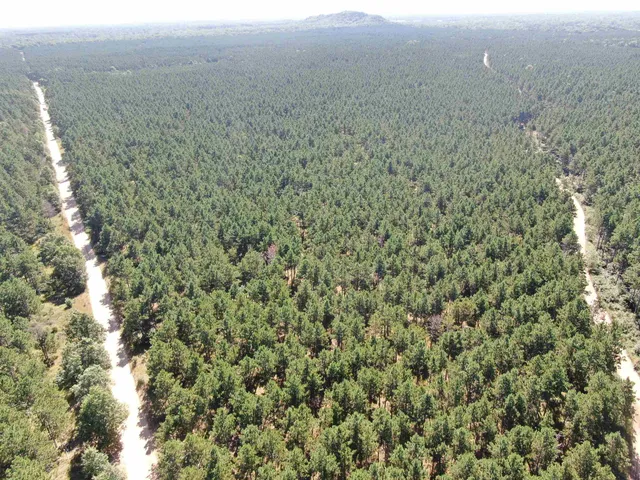 $425,000 | 13 Nekoosa Wi 54457, Nekoosa, WI 54457