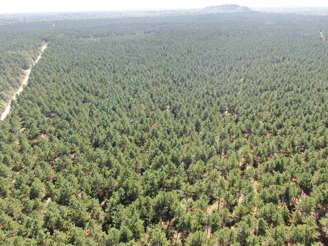 $425,000 | 13 Nekoosa Wi 54457, Nekoosa, WI 54457