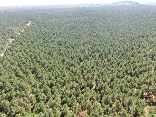 $425,000 | 13 Nekoosa Wi 54457, Nekoosa, WI 54457