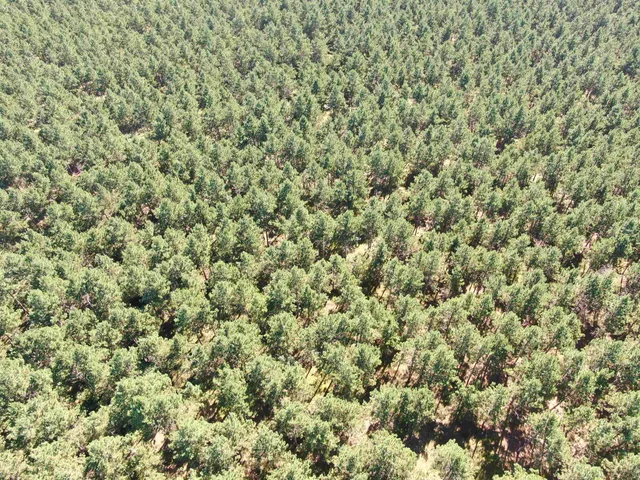 $425,000 | 13 Nekoosa Wi 54457, Nekoosa, WI 54457