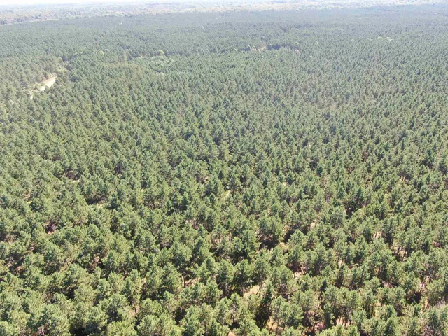 $425,000 | 13 Nekoosa Wi 54457, Nekoosa, WI 54457