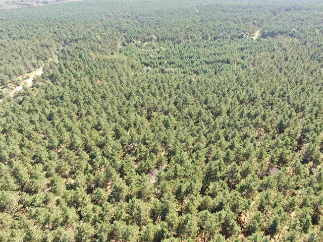 $425,000 | 13 Nekoosa Wi 54457, Nekoosa, WI 54457