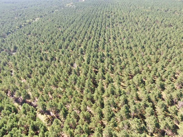 $425,000 | 13 Nekoosa Wi 54457, Nekoosa, WI 54457