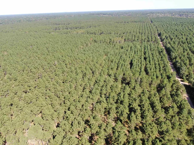 $425,000 | 13 Nekoosa Wi 54457, Nekoosa, WI 54457