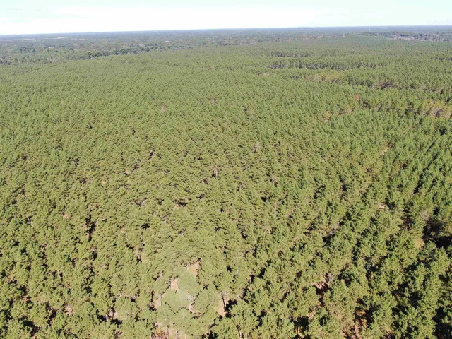 $425,000 | 13 Nekoosa Wi 54457, Nekoosa, WI 54457