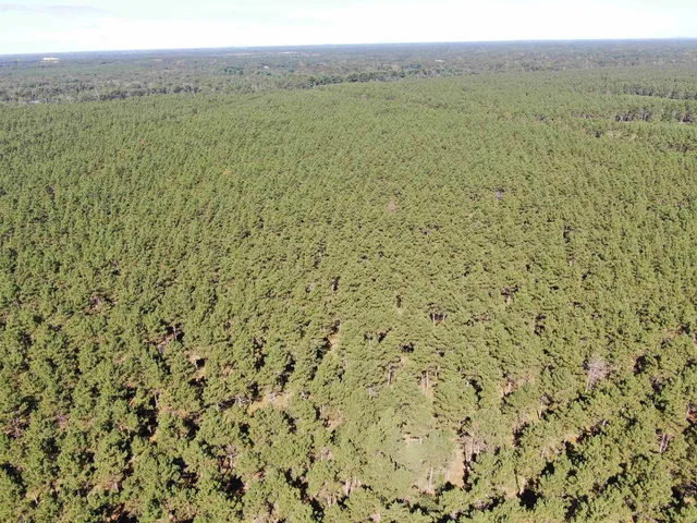 $425,000 | 13 Nekoosa Wi 54457, Nekoosa, WI 54457