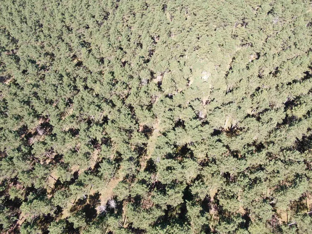 $425,000 | 13 Nekoosa Wi 54457, Nekoosa, WI 54457