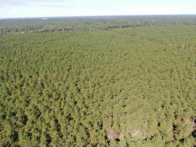 $425,000 | 13 Nekoosa Wi 54457, Nekoosa, WI 54457