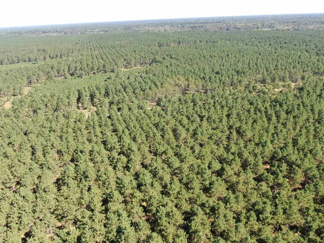 $425,000 | 13 Nekoosa Wi 54457, Nekoosa, WI 54457