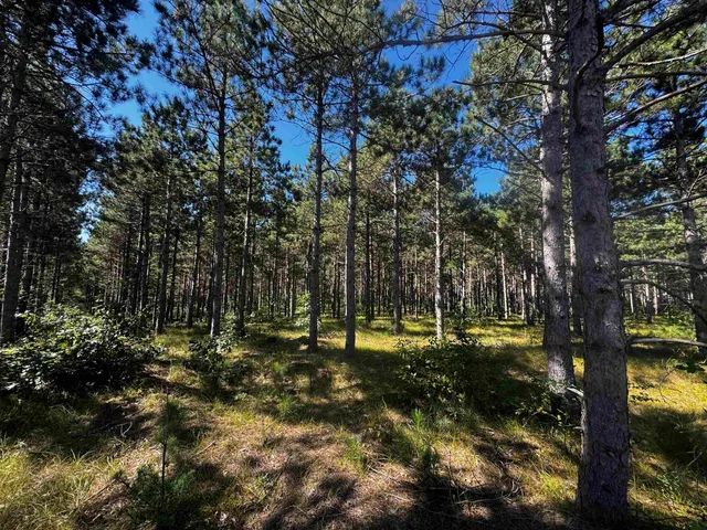 $425,000 | 13 Nekoosa Wi 54457, Nekoosa, WI 54457