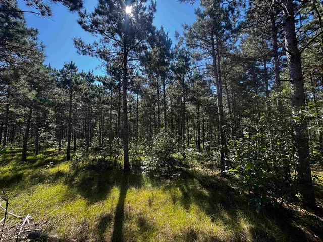 $425,000 | 13 Nekoosa Wi 54457, Nekoosa, WI 54457