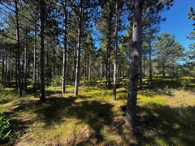 $425,000 | 13 Nekoosa Wi 54457, Nekoosa, WI 54457