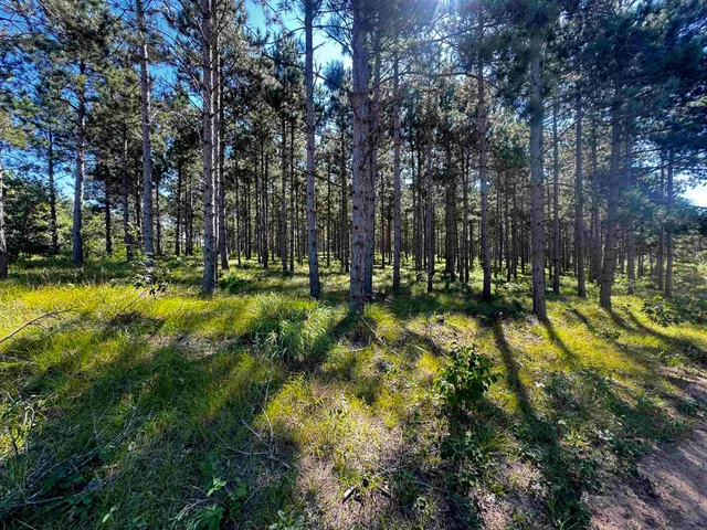 $425,000 | 13 Nekoosa Wi 54457, Nekoosa, WI 54457