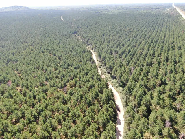 $425,000 | 13 Nekoosa Wi 54457, Nekoosa, WI 54457