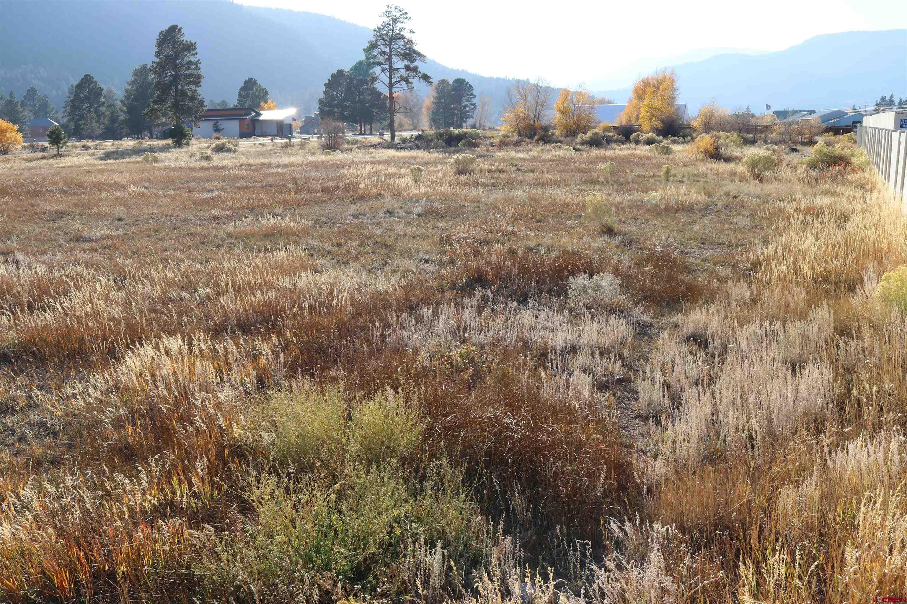 a view of dirt field with trees
