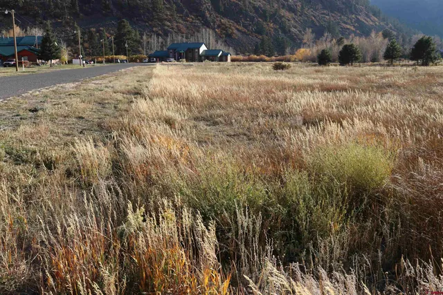 a view of a yard with a barn