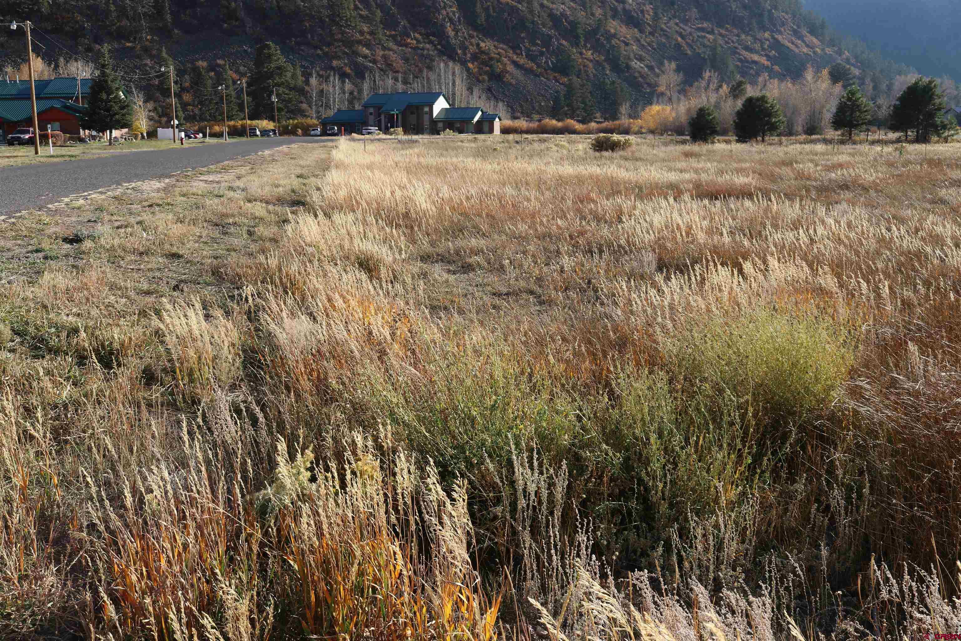 117 Bonnaville Drive South Fork, CO 81154 - Photo 3 of 5