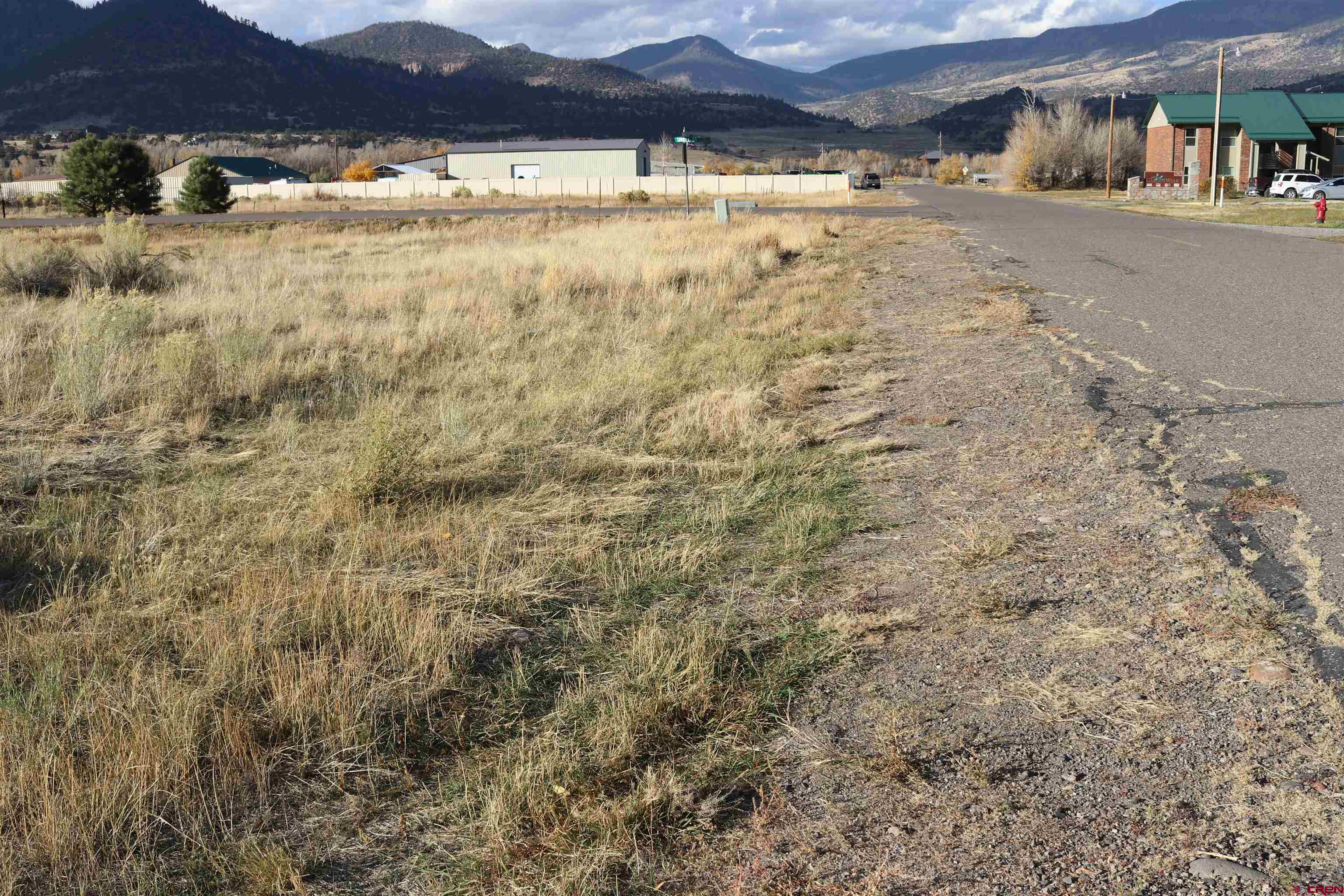117 Bonnaville Drive South Fork, CO 81154 - Photo 4 of 5 a view of a yard with a barn