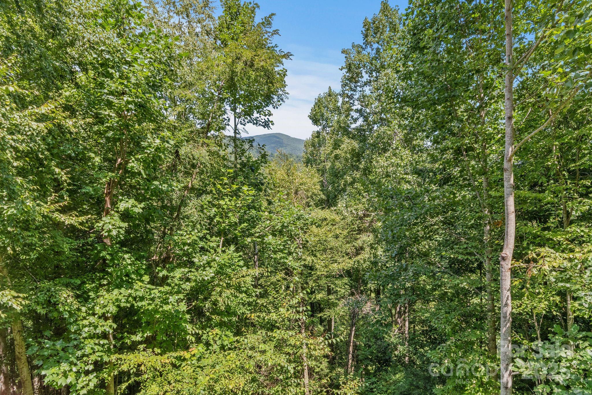 136 Grouse Point Road Hot Springs, NC 28743 - Photo 41 of 48 Gallery Image 41