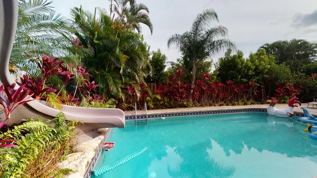 a view of a park with large trees