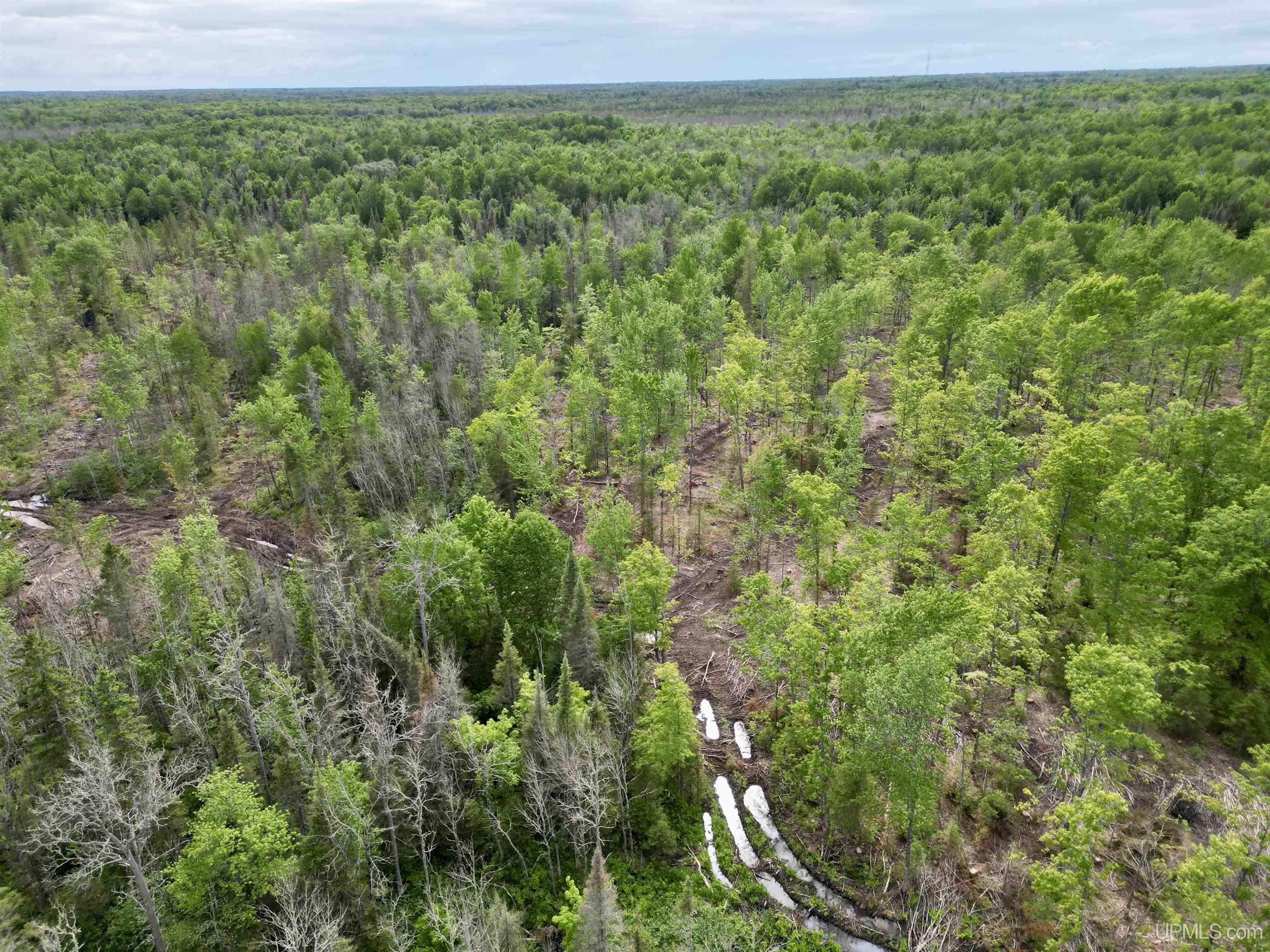 3601 Cr444 Road Rock, MI 49880 - Photo 70 of 78