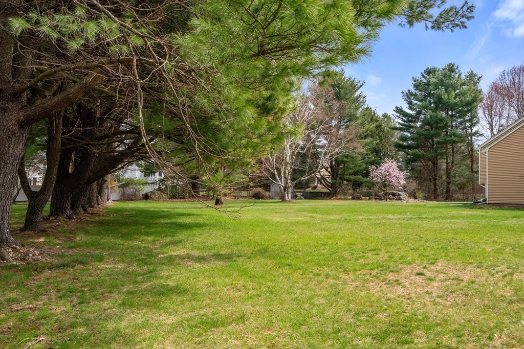 22 Langdon Road Wayland, MA 01778 - Photo 22 of 24 Gallery Image 22