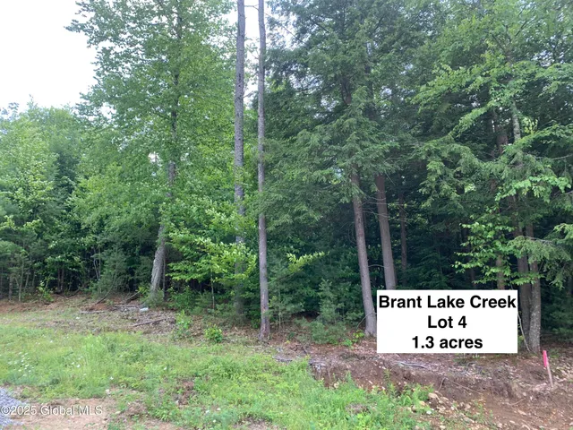 $99,000 | 14 Brant Lake Heights Drive, Horicon, NY 12815