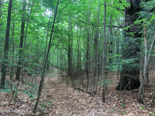 $99,000 | 14 Brant Lake Heights Drive, Horicon, NY 12815