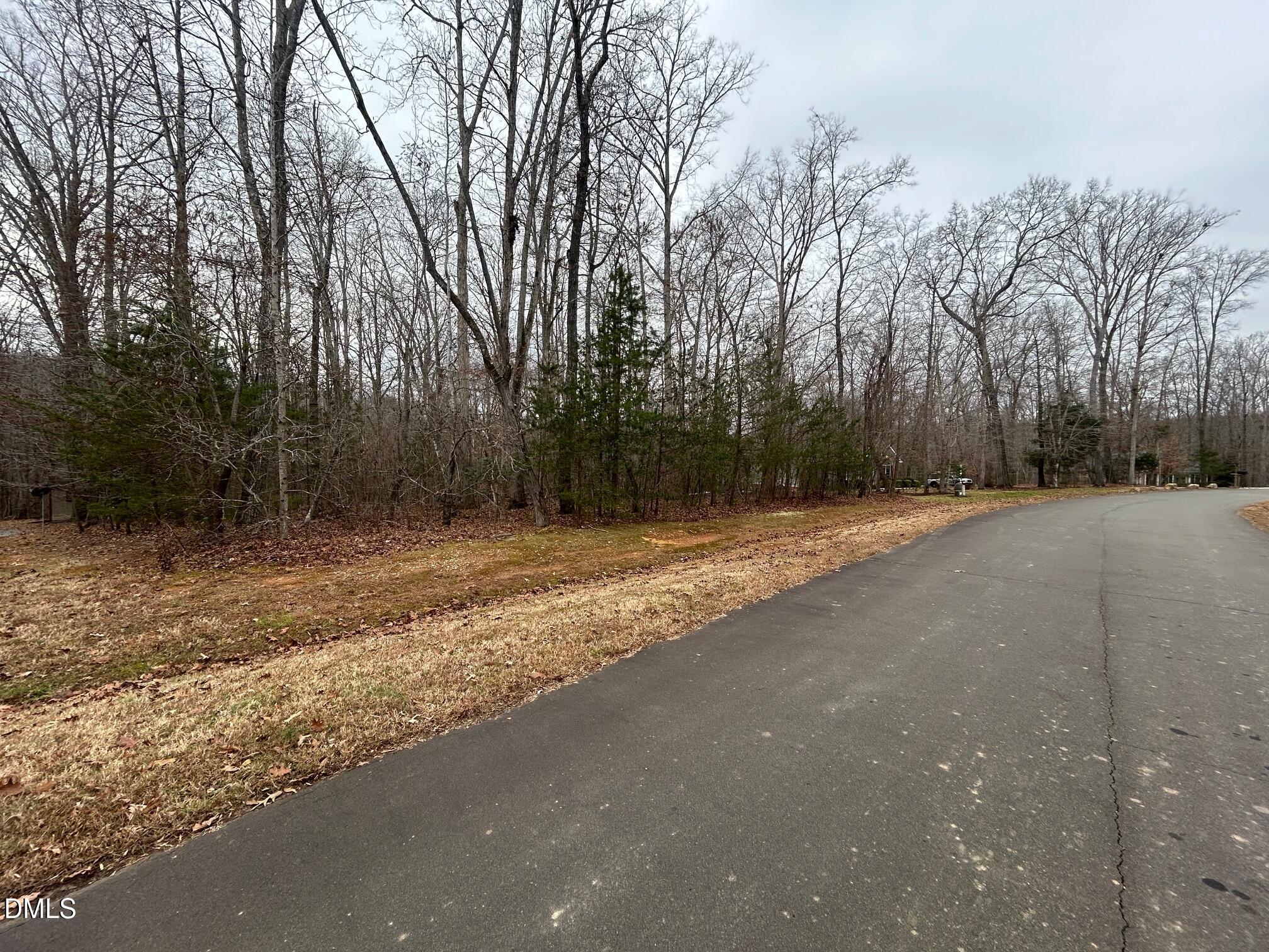 0 Weaver Ridge Road Rougemont, NC 27572 - Photo 6 of 11 IMG_3498