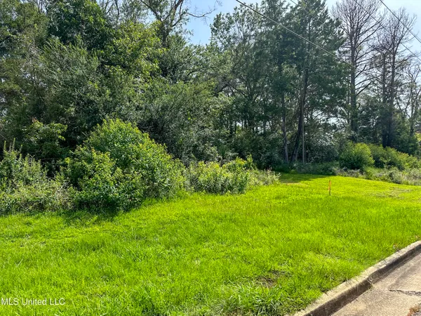 $50,000 | 109 Woodchase Park Drive, Clinton, MS 39056