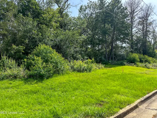 $50,000 | 109 Woodchase Park Drive, Clinton, MS 39056