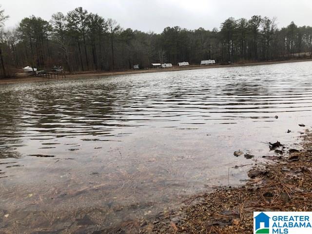 0 Lakeside Lane, Unit 31 Alpine, AL 35014 - Photo 32 of 42