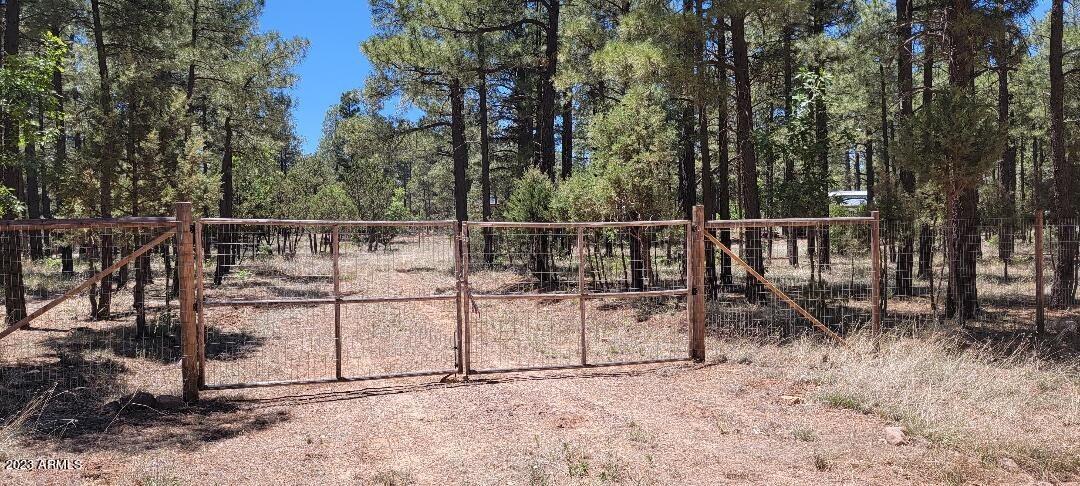 2778 Canyon Ridge Road Overgaard, AZ 85933 - Photo 1 of 8 Gate