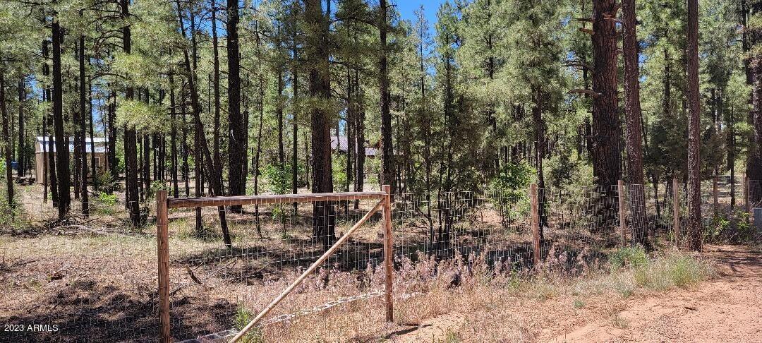 2778 Canyon Ridge Road Overgaard, AZ 85933 - Photo 2 of 8 Fully Fenced 2
