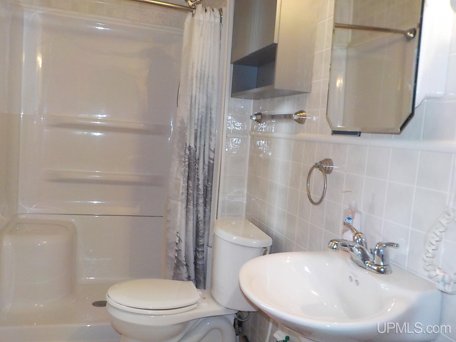 107 5th Street Alpha, MI 49902 - Photo 13 of 43 Gallery Image 13