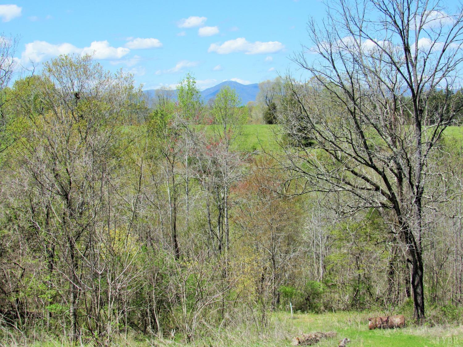 241 Hanger Road Amherst, VA 24521 - Photo 4 of 51 a view of a city with lush green forest