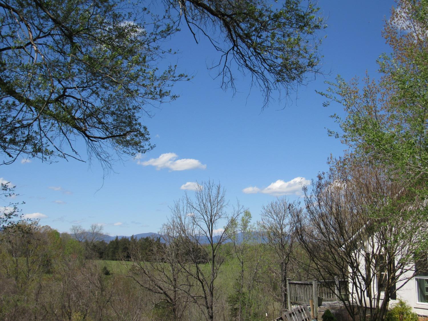 241 Hanger Road Amherst, VA 24521 - Photo 51 of 51 a view of a backyard of a house